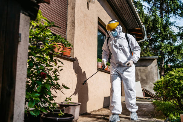 Best Flea Control Services  in Tea, SD