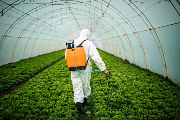 Best Best Pest Control Companies  in Tea, SD