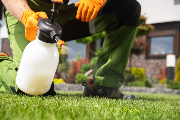  Tea, SD Pest Control Pros