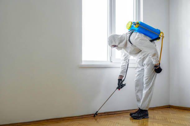 Best Pest Removal Services  in Tea, SD