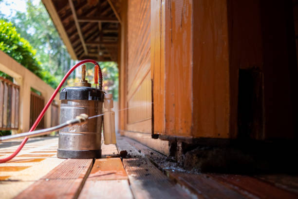 Pest Prevention Services in Tea, SD