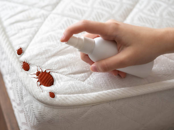 Best Pest Prevention Services  in Tea, SD