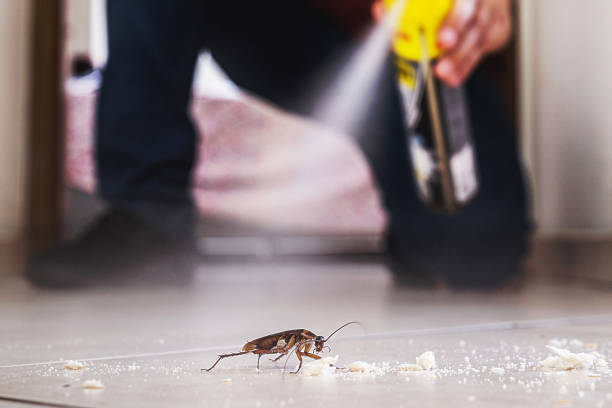 Best Mosquito Control Services  in Tea, SD