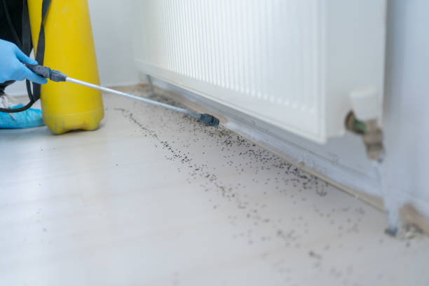 Professional Pest Control in Tea, SD
